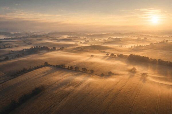 Visual under construction