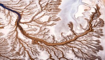 construction_visual_executive_preview