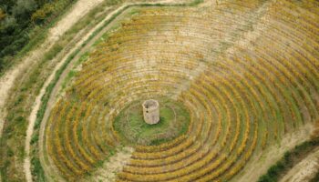 construction_visual_long-term